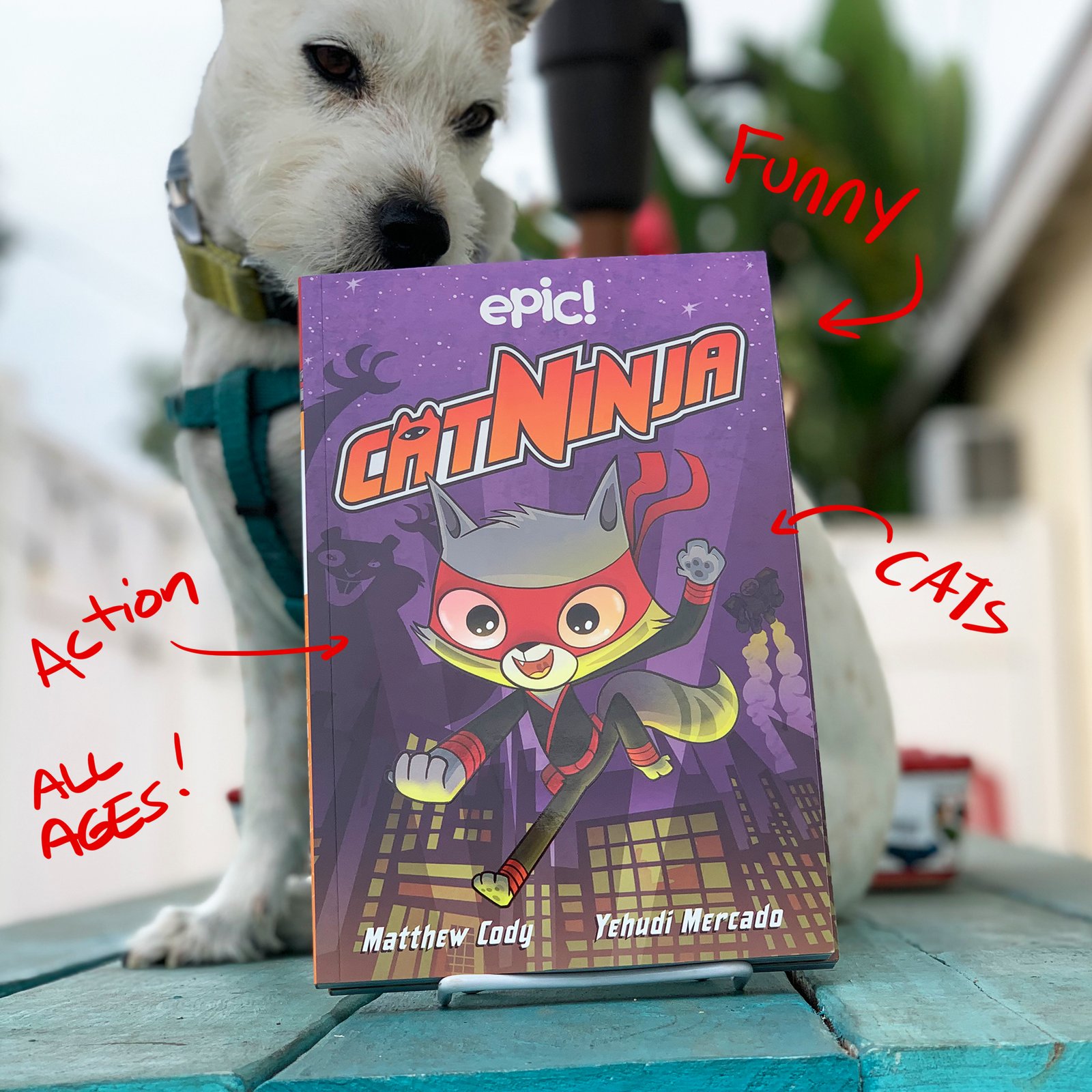 The Copy Cat Ninja | Anime Amino