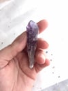 Amethyst Root