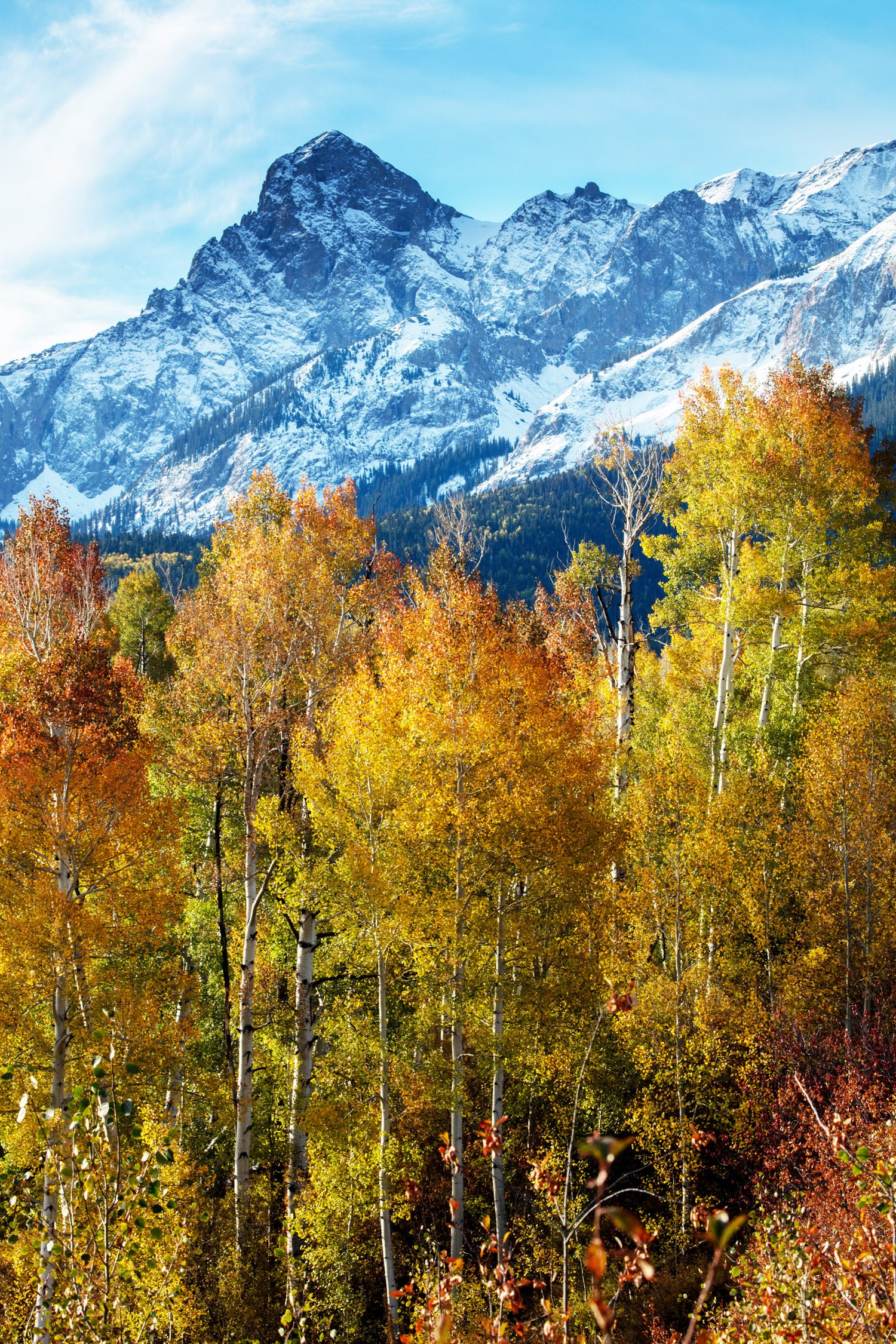Image of Colorado Autumn 