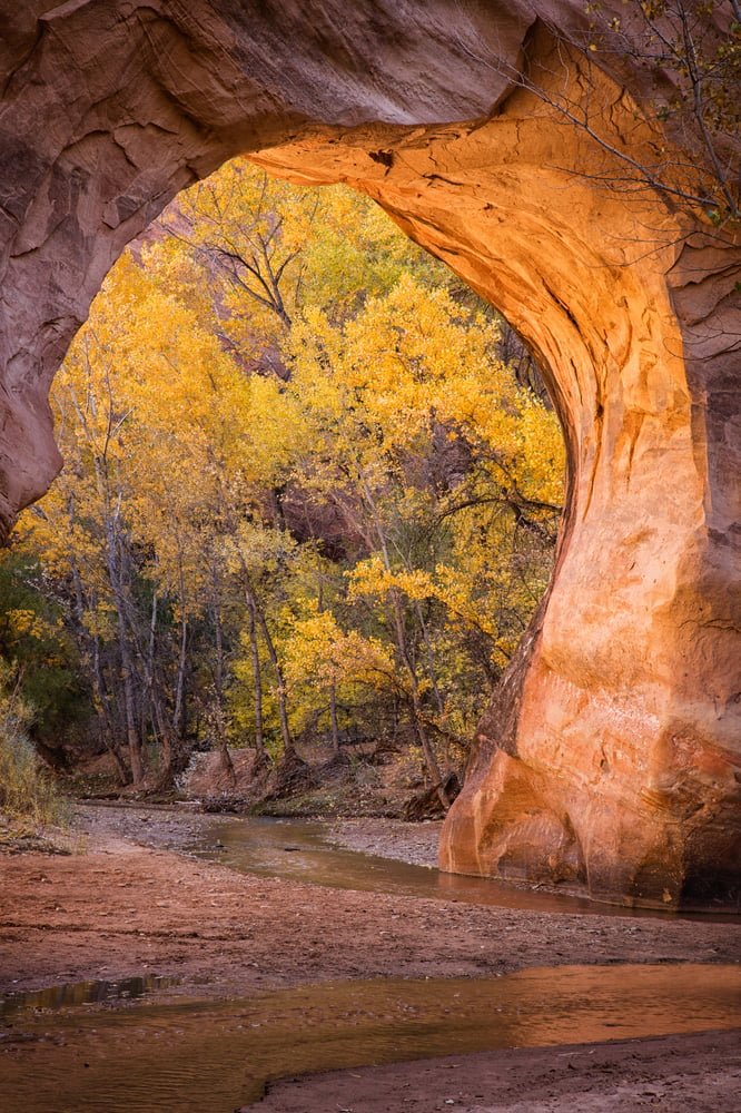 Image of Coyote Bridge