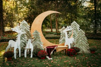 2020 Christmas Moon Mini Session (DEPOSIT ONLY)