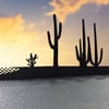 Saguaro Cactus Cacti 