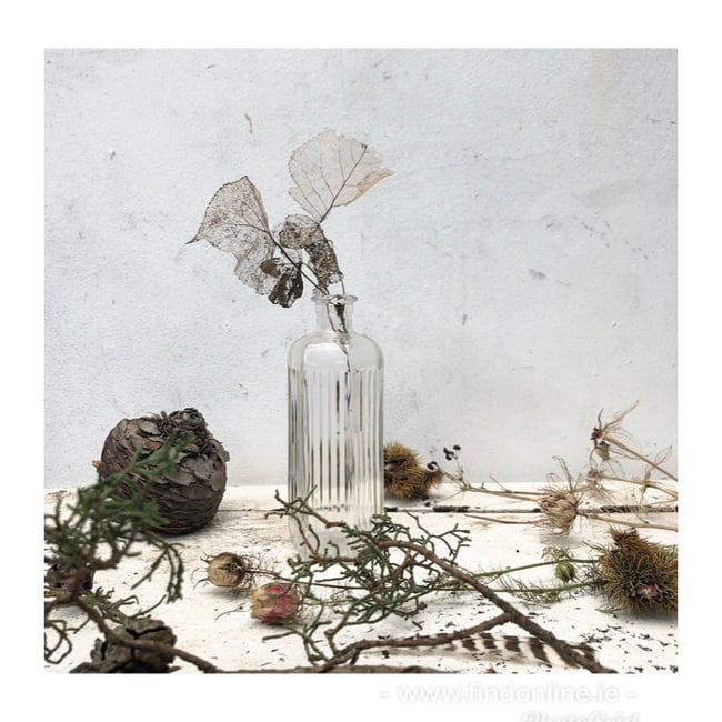 Vintage pharmacy bottle