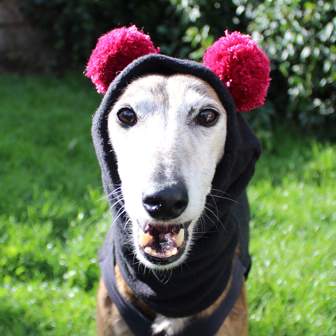 Image of Snood with ears