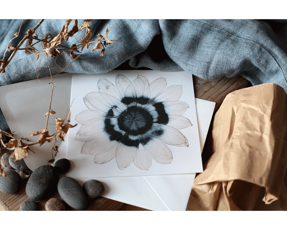 Image of Anemone, greeting cards