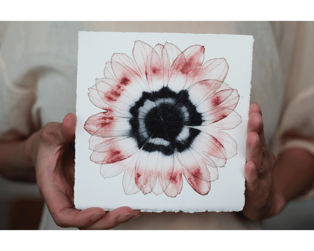 Image of Anemone, greeting cards