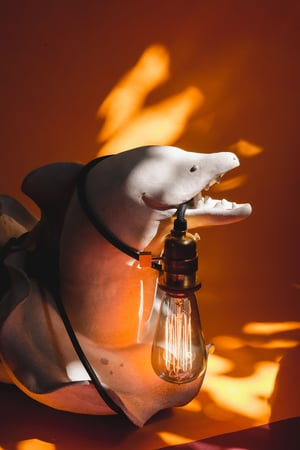 Image of Figure 8 Moray eel lamp