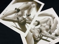 "Fulfilling Abby" Reproduction Print Set