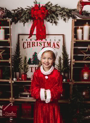 Image of Christmas Mini - (No Santa) 