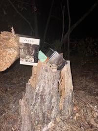 Image 2 of Klarigon - Decay (deluxe edition)