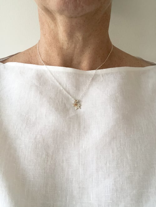 Image of Silver and gold constellation necklace
