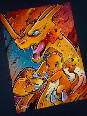 Image of PACK 3 STARTERS