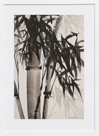 Image 2 of Bamboo II