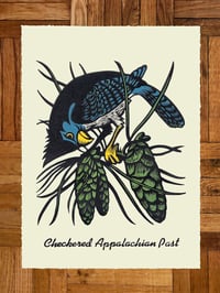 Checkered Appalachian Past