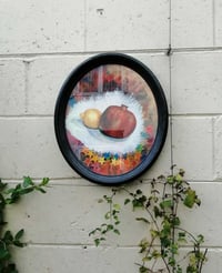 Image 4 of The Hackney Wick Pomegranate and the Well Street Lemon