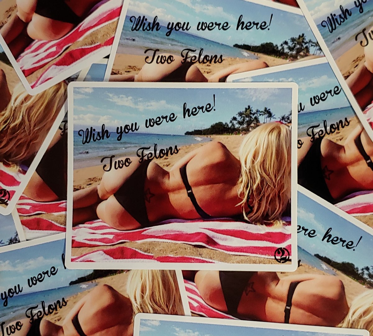  Two Felons "Jane's Vacay" stickers