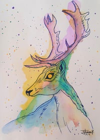 Ciervo (acuarela Original)       Deer  (original watercolor)