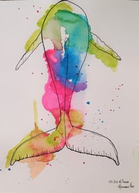 Ballena (acuarela original)   Whale (original watercolor)