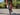 6.5 inch tall 