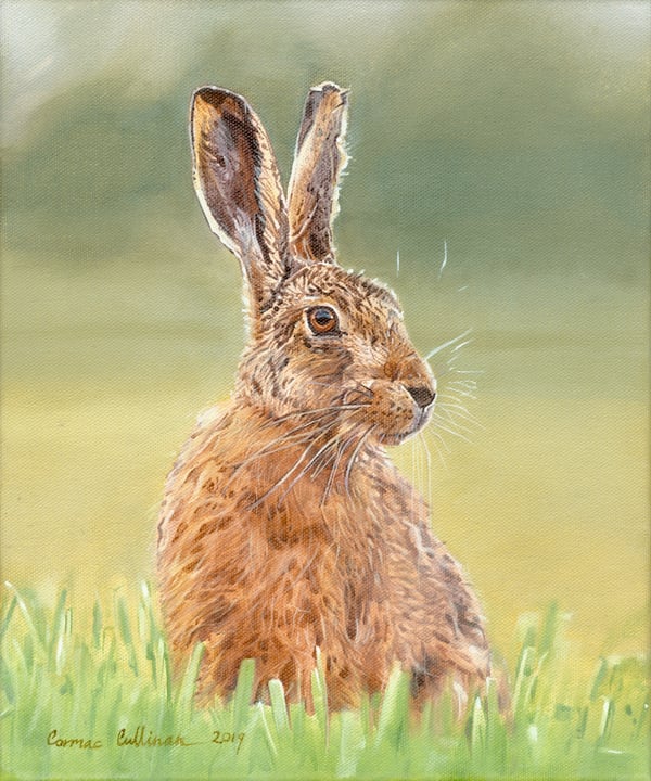 Image of Hare - Fine art Print 10''x12'' -  Cormac Cullinan 2019