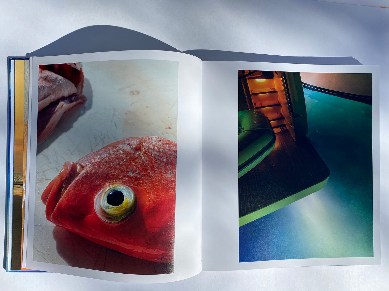 Image of EXUMAS - The Kingdom of Blue