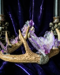 Image 3 of Purple Mica Butterfly Aura Quartz Clear Quartz  & Chalcopyrite - Antler Crown