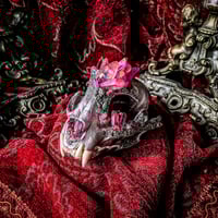 Image 2 of Pink Aura Quartz & Pink Tourmaline - Bobcat Skull