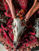 Dyed Sienna Clear Quartz & Amber - Deer Skull
