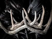 Image 2 of Bride & Groom Viking Wedding Crowns - Antler Crowns 