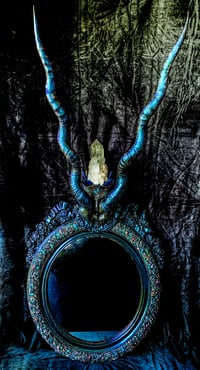 Image 1 of Dragonfly Glazed Crystallized Blackbuck Spiral Horned Mirror.