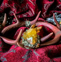 Auburn Yellow Spirit Quartz & Amber - Antler Crown
