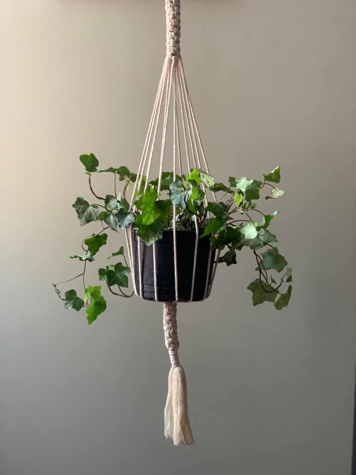 Image of C.hain Macramé Plant Hanger