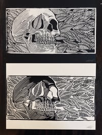 Image 3 of LIMITED RESTOCK - Life From Death Blockprint