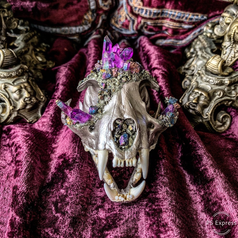 Image of Purple Aura Quartz & Chalcopyrite - Bobcat Skull.
