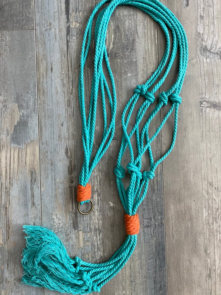 Image of Orange & Teal plant hanger