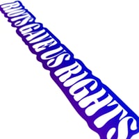 Image 3 of 'Riots Gave Us Rights' Sticker