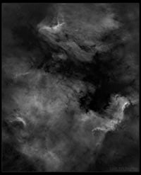 North America & Pelican Nebula; Starless Mosaic; Black & White