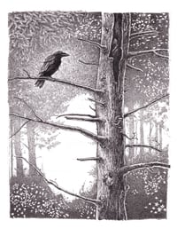 Raven in the Woods  9" X 12”