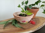 Flower Garden Pot 