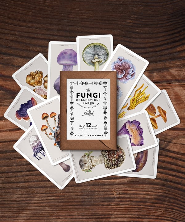 Image of The Fungi Collectible Cards | PACK 1 
