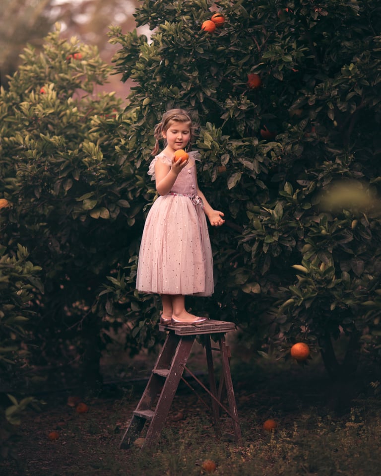 Isobel Dress