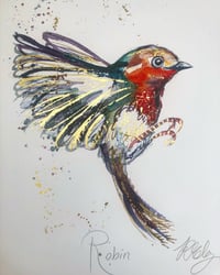 Image 2 of Robin