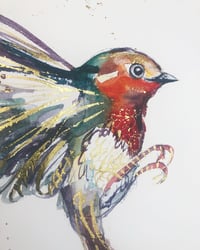 Image 3 of Robin