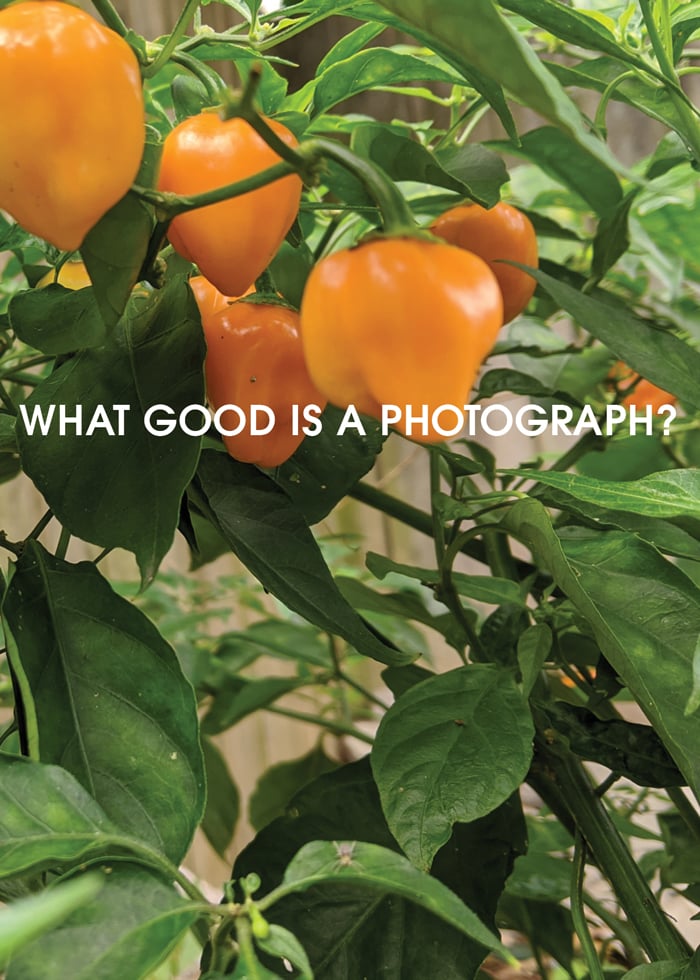 Image of What Good Is a Photograph?