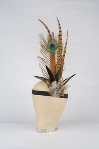 Image 1 of Peacock Feather and dark Rooster Add On.
