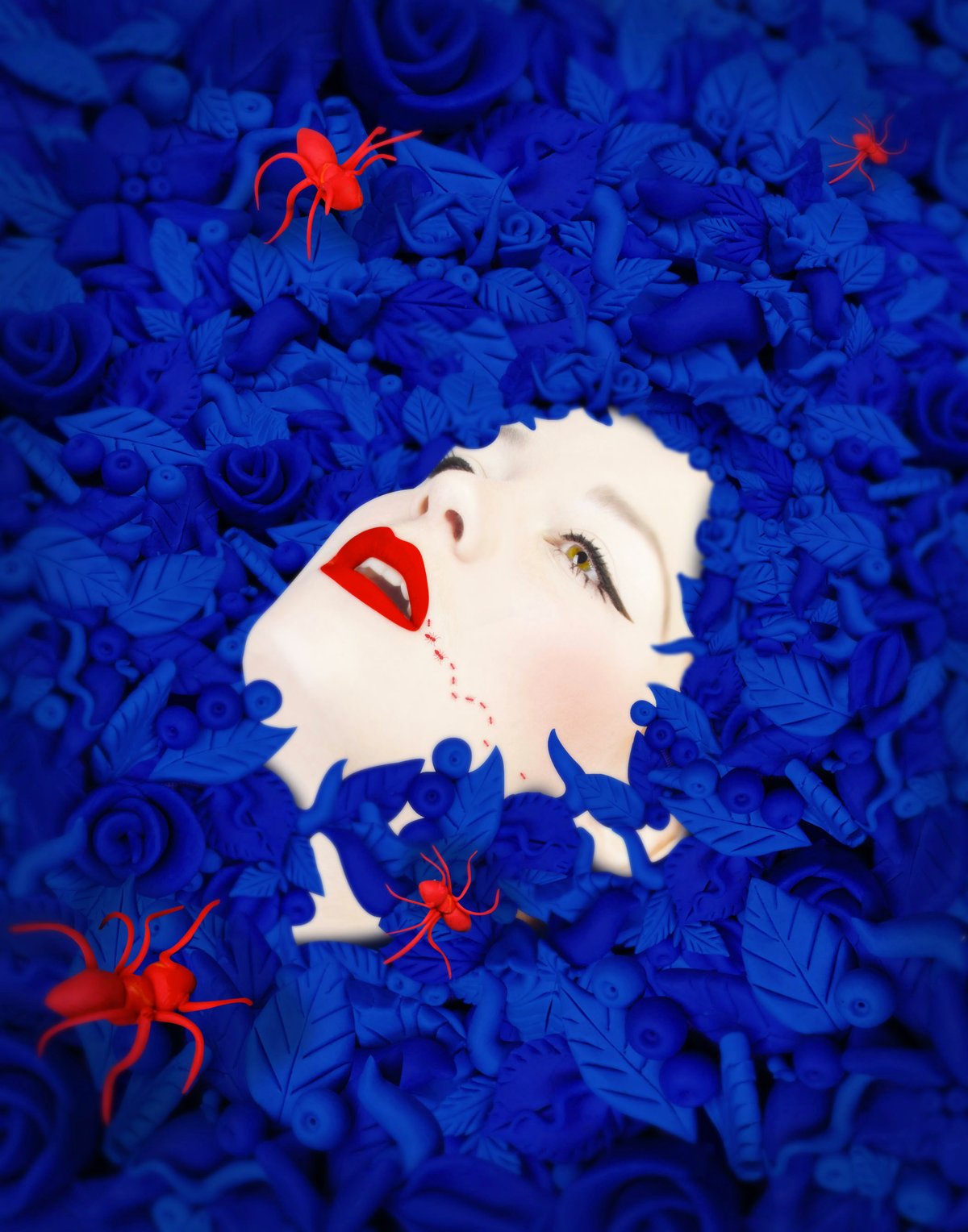 Image of Fleurs bleus et fourmis rouges 