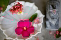Image 4 of Marbel Urli