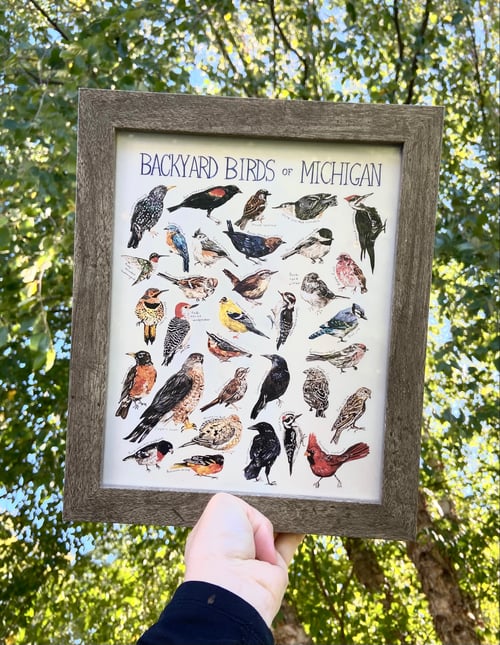 Backyard Birds of Michigan Brush & Bark