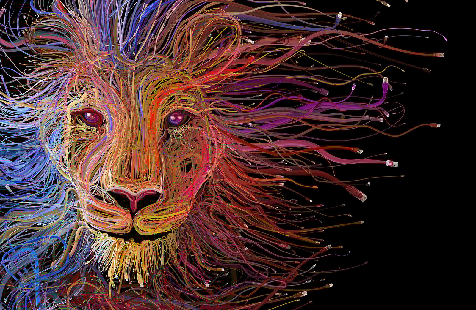 21153ex02.jpg?auto=format&fit=