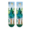 Redwoods, Merge4Socks